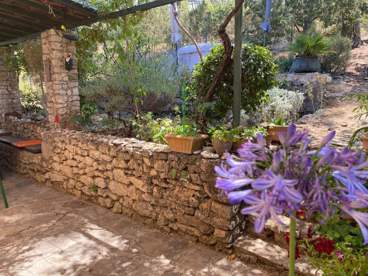 Apartman Silna Your New Home With Terrace And Garden Bobovisca エクステリア 写真